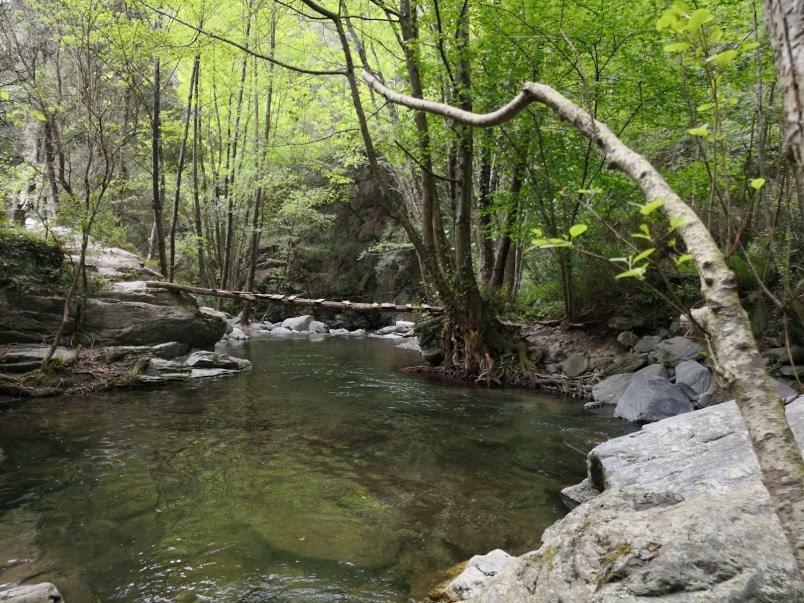 El Moli Del Montseny Konuk evi Fogas de Monclus Dış mekan fotoğraf