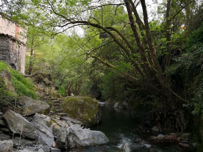 El Moli Del Montseny Konuk evi Fogas de Monclus Dış mekan fotoğraf