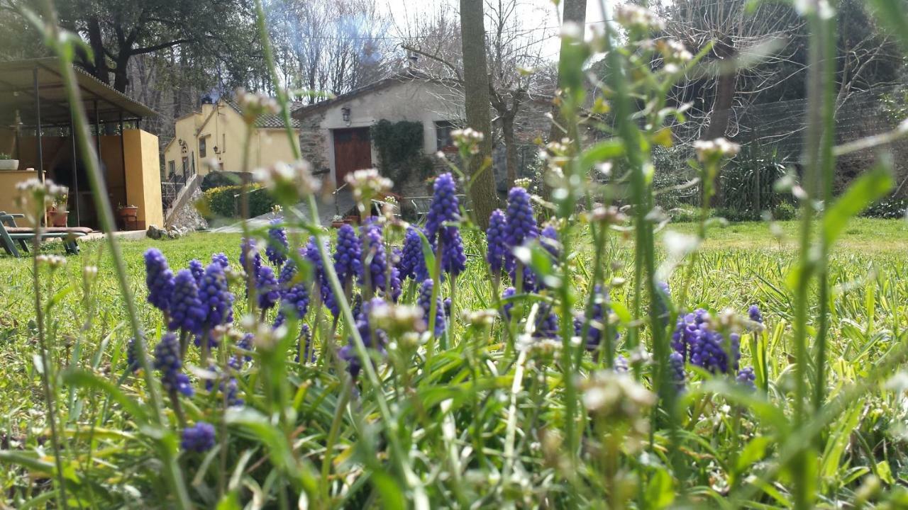 El Moli Del Montseny Konuk evi Fogas de Monclus Dış mekan fotoğraf